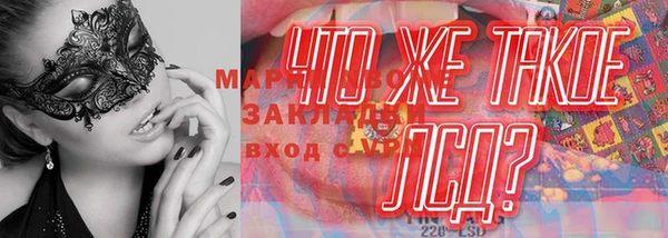 дурь Ахтубинск