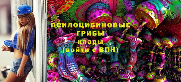 дурь Ахтубинск