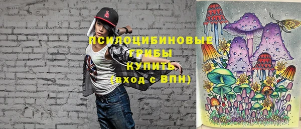 дурь Ахтубинск