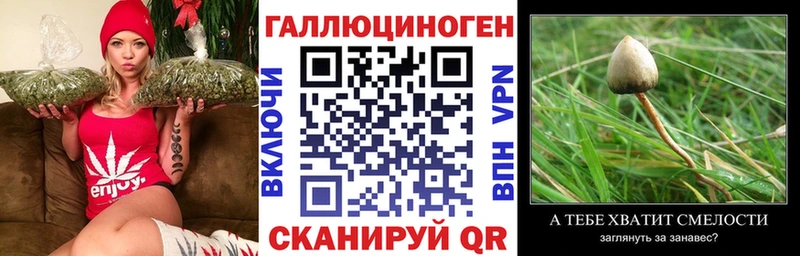 Галлюциногенные грибы MAGIC MUSHROOMS  Калачинск 